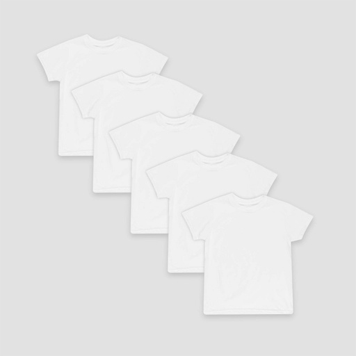STR | STR | Hanes Boys' 5pk Crew Neck T-Shirt - L